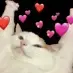 smolghostcat