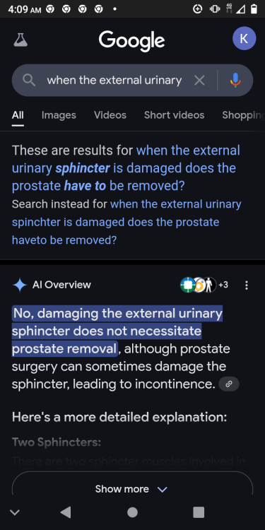 Screenshot_20250330_040940.png