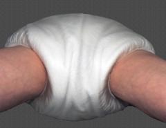 p6.jpg