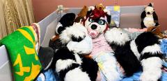 IMG_5704 Copy.JPG