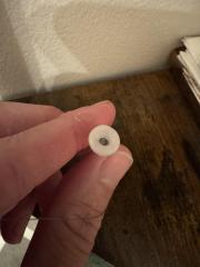 IMG_6404.jpeg