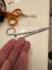 IMG_6771.jpeg