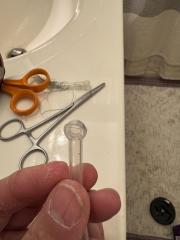 IMG_6772.jpeg