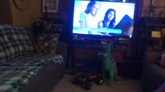 IMG_20250612_173732.jpg