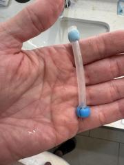 IMG_7591.jpeg