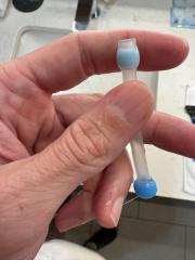 IMG_7593.jpeg