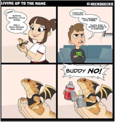 buddyno.PNG