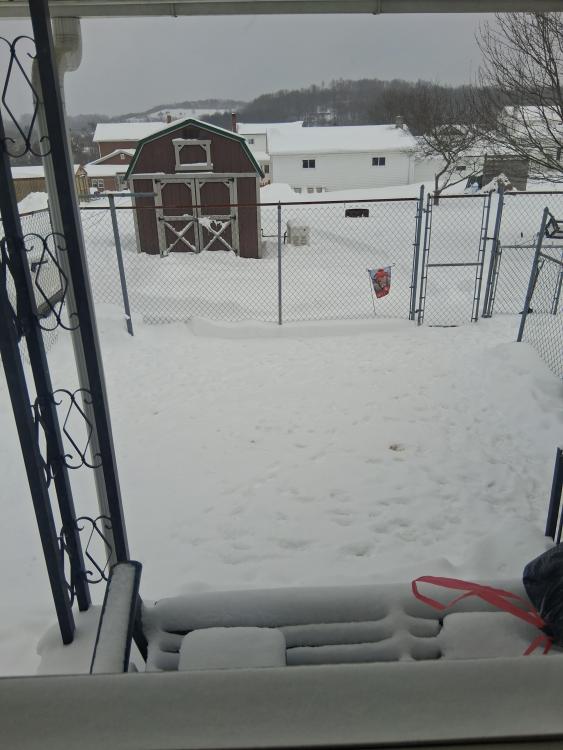 20260126_140823.jpg