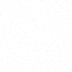 NorthShore Daily Diaper Ads - 250x250.gif