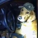 Panzerpup55