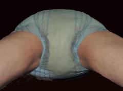 z,wet.jpg