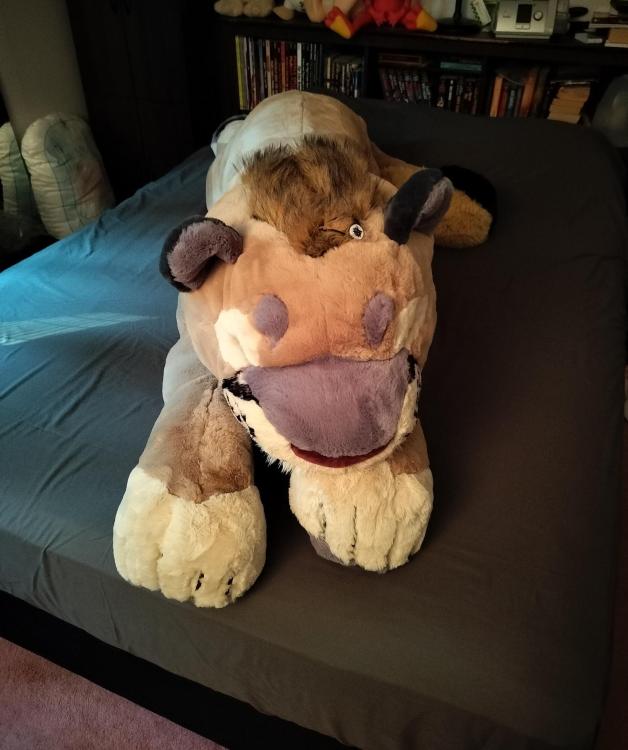 bedhog.thumb.jpg.22f010202c6a2182d237c94ab6164e0f.jpg
