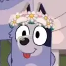 littleblueypup