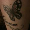 Butterflytat