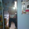 DigsP
