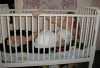 Filename=a1010.jpg
Filesize=104KiB
Dimensions=400x275
Date added=Mar 04, 2006 a1010.jpg