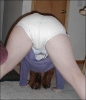 Filename=fem043.jpg
Filesize=82KiB
Dimensions=345x400
Date added=Mar 04, 2006 fem043.jpg