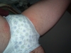 Filename=IM000799.JPG
Filesize=92KiB
Dimensions=400x301
Date added=Mar 05, 2006 IM000799.JPG