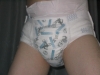 Filename=b1017.jpg
Filesize=71KiB
Dimensions=400x300
Date added=Mar 05, 2006 b1017.jpg