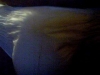 Filename=doug_in_diapers_2.JPG
Filesize=30KiB
Dimensions=320x240
Date added=Mar 05, 2006 doug_in_diapers_2.JPG