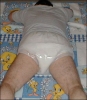 mal231.jpg