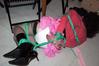 Filename=c1665.jpg
Filesize=75KiB
Dimensions=800x533
Date added=Mar 19, 2009 c1665.jpg
