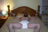 Filename=b2200.jpg
Filesize=56KiB
Dimensions=800x533
Date added=May 01, 2011 b2200.jpg