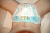 Filename=b1984.jpg
Filesize=56KiB
Dimensions=800x532
Date added=Apr 19, 2010 b1984.jpg