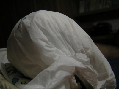 Ã©rection in diapers
