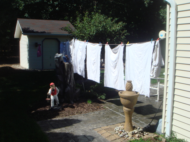 Ebay_107.jpg