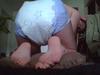 Filename=me1~1.JPG
Filesize=197KiB
Dimensions=640x480
Date added=Jul 18, 2013 me1~1.JPG