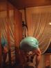 Filename=Babyslave_2827629~0.jpg
Filesize=85KiB
Dimensions=336x448
Date added=Jun 02, 2012 Babyslave_2827629~0.jpg