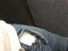 Filename=Photo0104~0.jpg
Filesize=378KiB
Dimensions=1600x1200
Date added=May 17, 2011 Photo0104~0.jpg