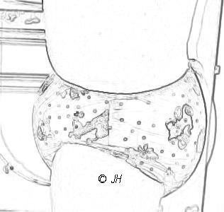 Baby Print Plastic Pants
Another Sketch of my Baby Printed Plastic Pants (Owned by JH @ stillindiapers.net)
