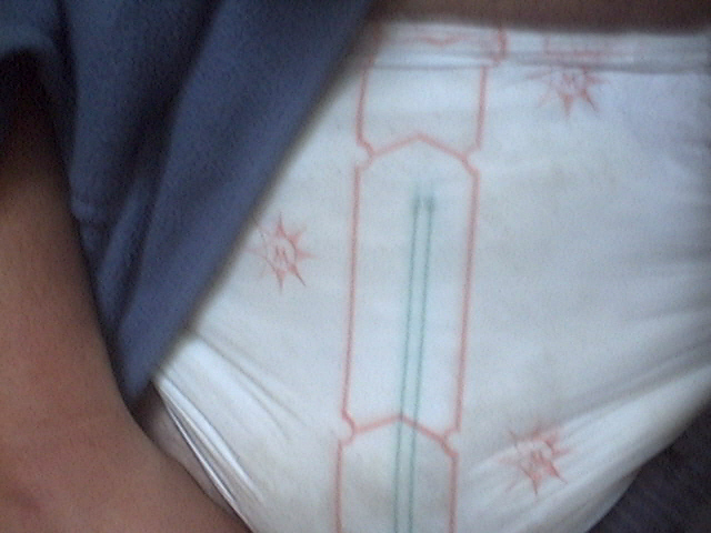 lillies supreme fit
morning wet diaper
