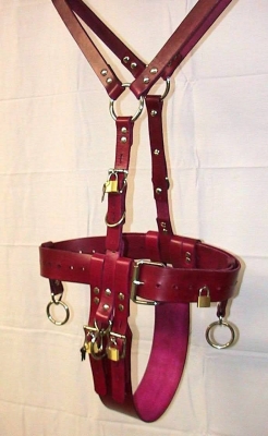 redharness1.jpg