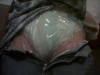 Filename=23ew.jpg
Filesize=90KiB
Dimensions=400x300
Date added=Jul 10, 2007 23ew.jpg