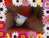Filename=Bild_-_7-a.jpg
Filesize=468KiB
Dimensions=984x768
Date added=Oct 10, 2010 Bild_-_7-a.jpg