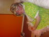 Filename=DSC00323.JPG
Filesize=47KiB
Dimensions=640x480
Date added=Oct 20, 2008 DSC00323.JPG