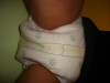 DSC02133.JPG