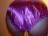 Filename=Picture_021.jpg
Filesize=95KiB
Dimensions=640x480
Date added=Sep 12, 2009 Picture_021.jpg