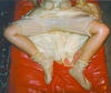 Filename=b366.jpg
Filesize=31KiB
Dimensions=689x581
Date added=May 01, 2011 b366.jpg