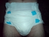 diaper1.JPG